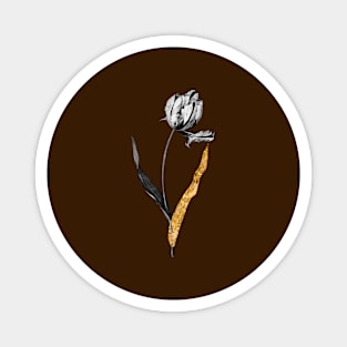 Black and Gold Leaf - Didier's Tulip - Vintage Botanical Magnet